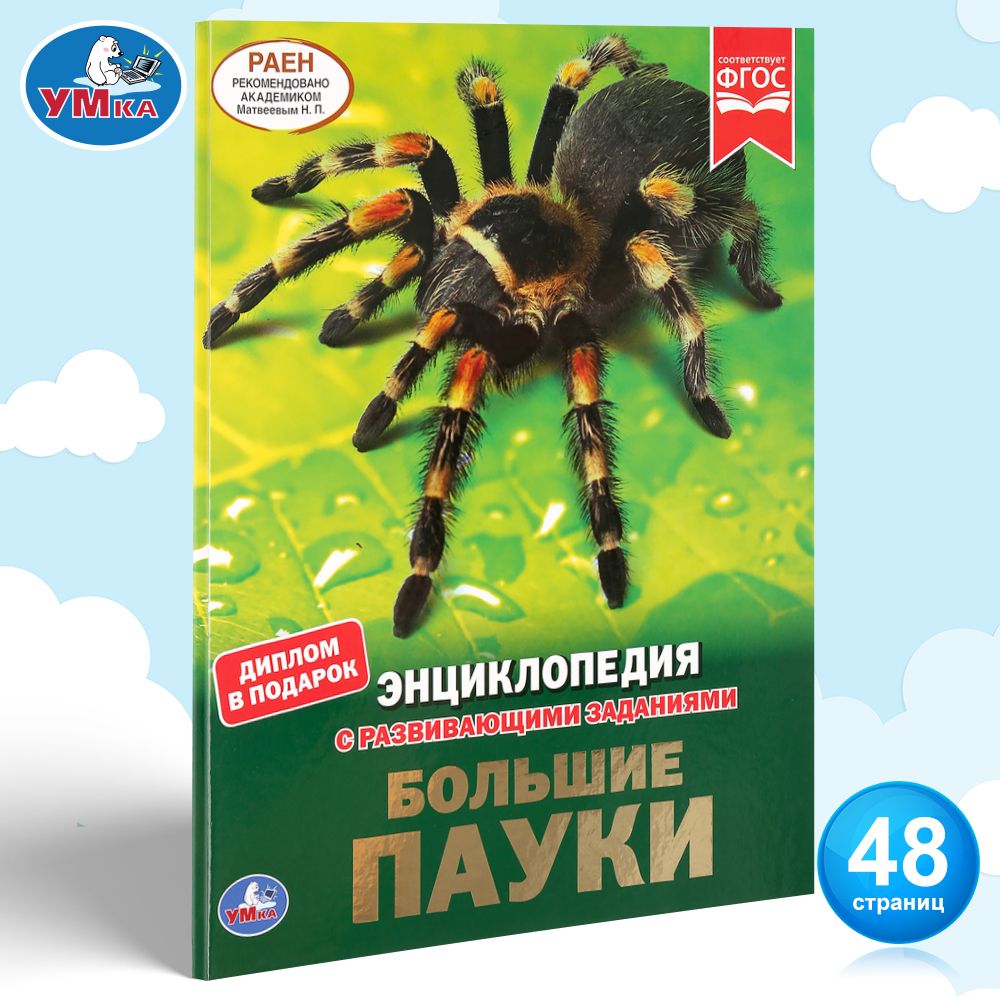 

Умка Большие пауки, (А4, с развивающими заданиями), твердый переплет