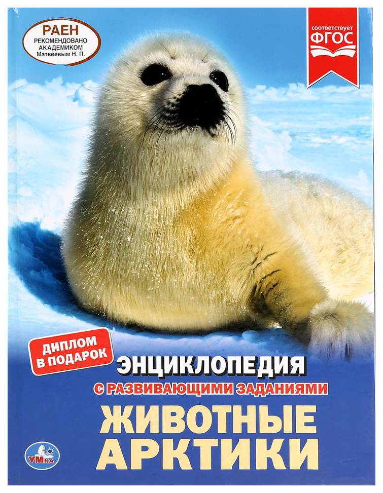 

Детская энциклопедия Умка «Животные Арктики» А4 с развивающими заданиями 48 страниц