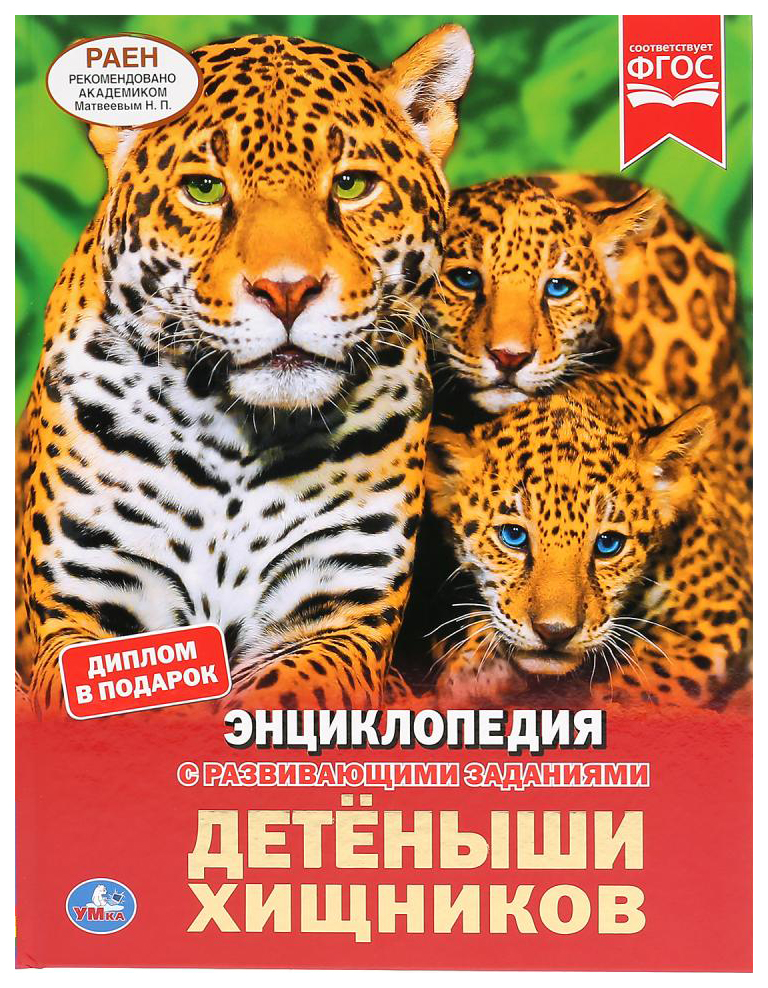 

Книга Детская энциклопедия Умка «Детеныши хищников» А4 с развивающими заданиями