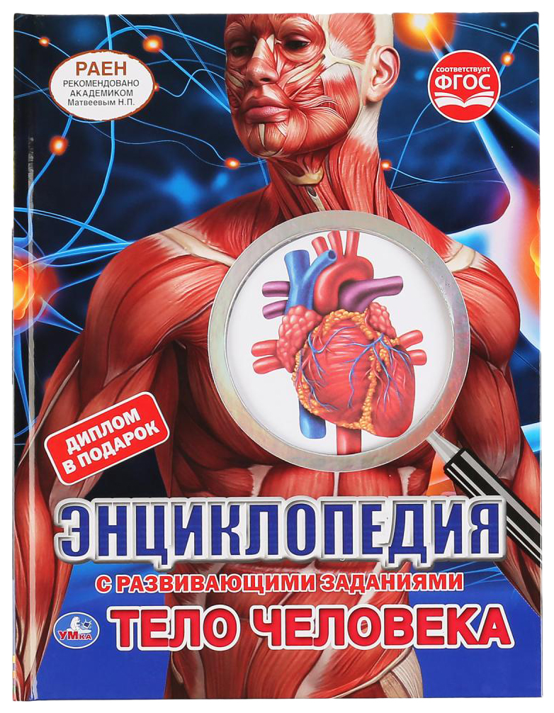 

Детская энциклопедия Умка «Тело человека» А4 с вырубкой на обложке твердый переплет