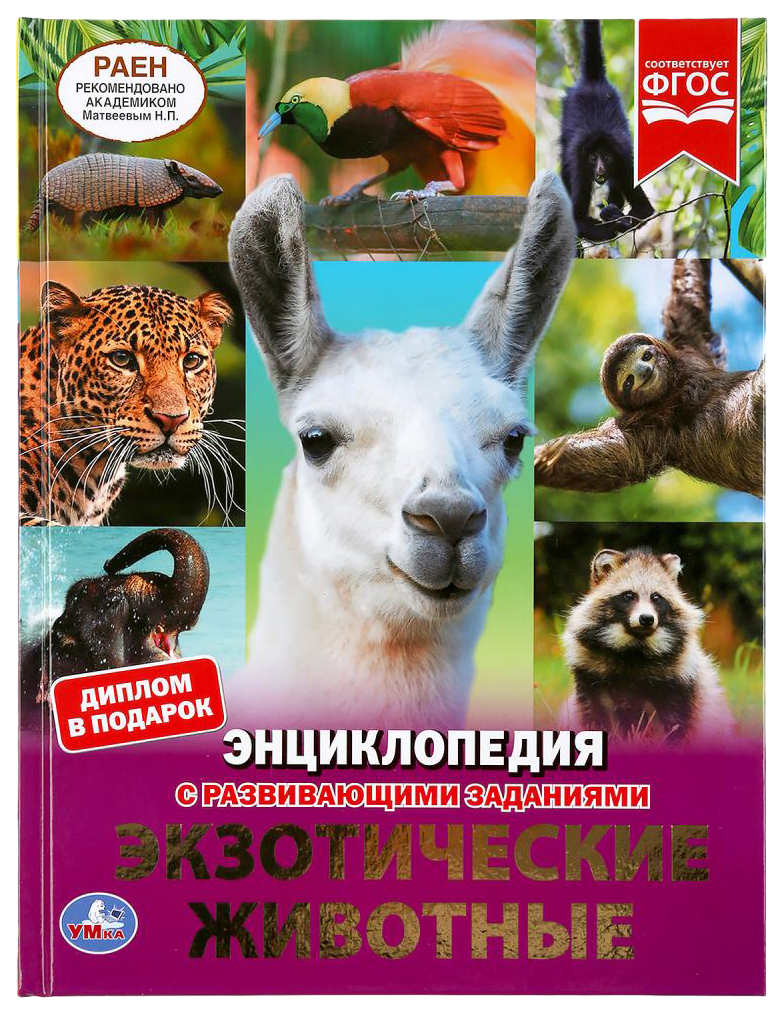 

Детская энциклопедия Умка «Экзотические животные» с развивающими заданиями 197x255