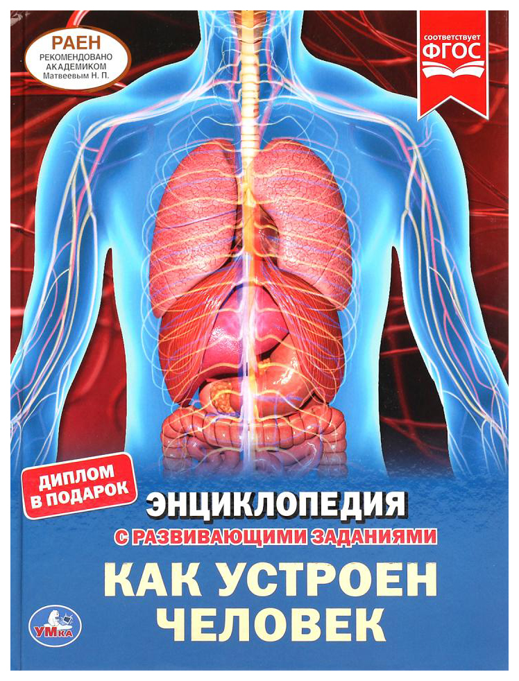 

Детская энциклопедия Умка «Как устроен человек» А4 с развивающими
