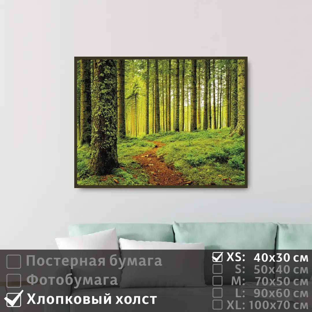 

Постер на холсте ПолиЦентр Тропа в хвойной роще 40х30 см, ТропаВХвойнойРоще