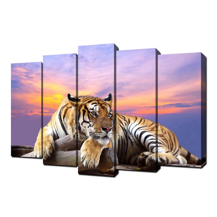 фото Картина модульная на подрамнике "тигр. на отдыхе" (2-25х63; 2-25х70; 1-25х80) 125х80см topposters