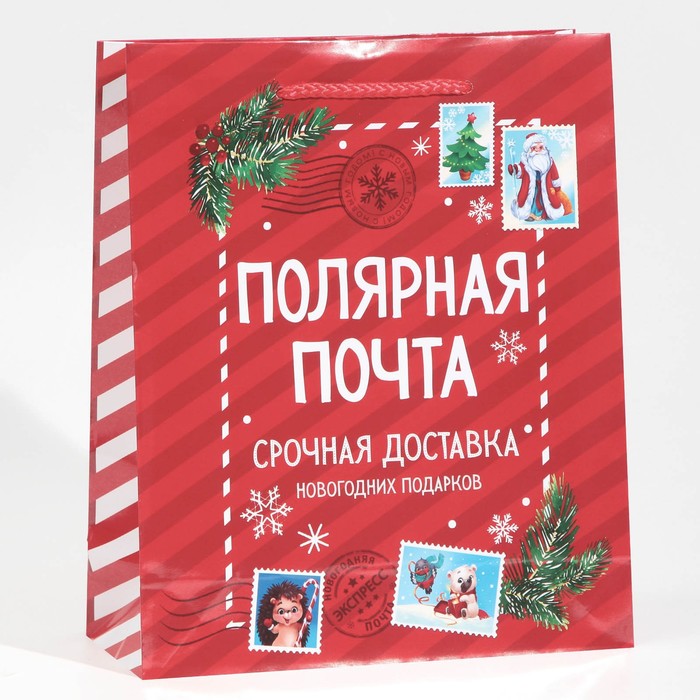

Пакет ламинированный вертикальный Полярная почта, ML 21 х 25 х 8 см, Красный