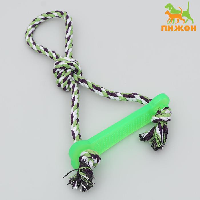 

Игрушка тренировочная канатная "Качель", до 120 г, микс цветов