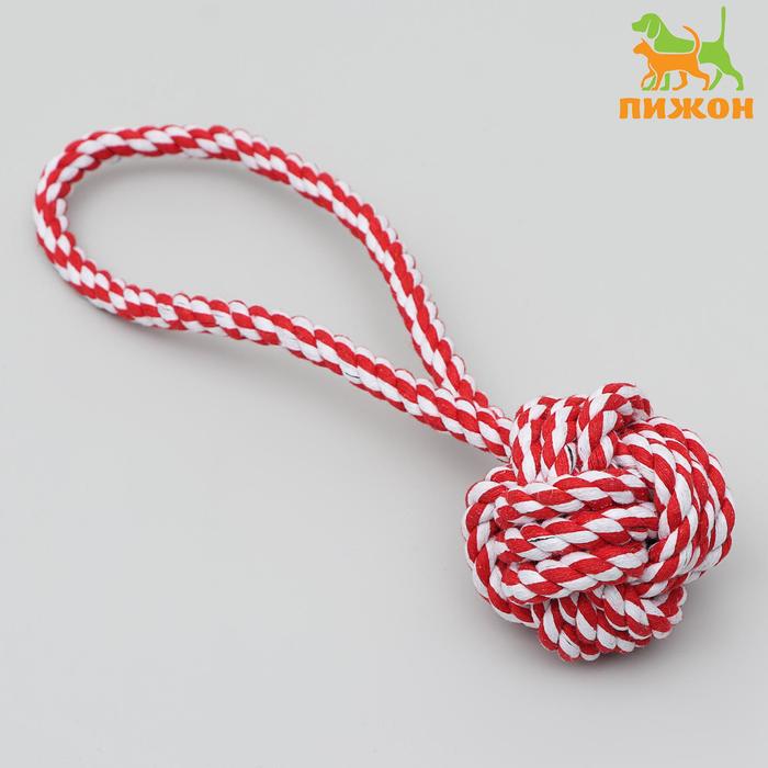 

Игрушка тренировочная канатная Булава, шарик 7-7,5 см, до 100 г