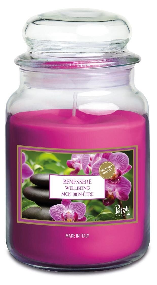 Свеча ароматизированная в банке Petali Благополучие 8,5 х 17 см