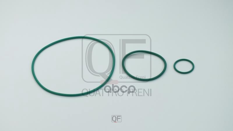 

Ремкомплект Вакуумного Насоса QUATTRO FRENI qf34f00010