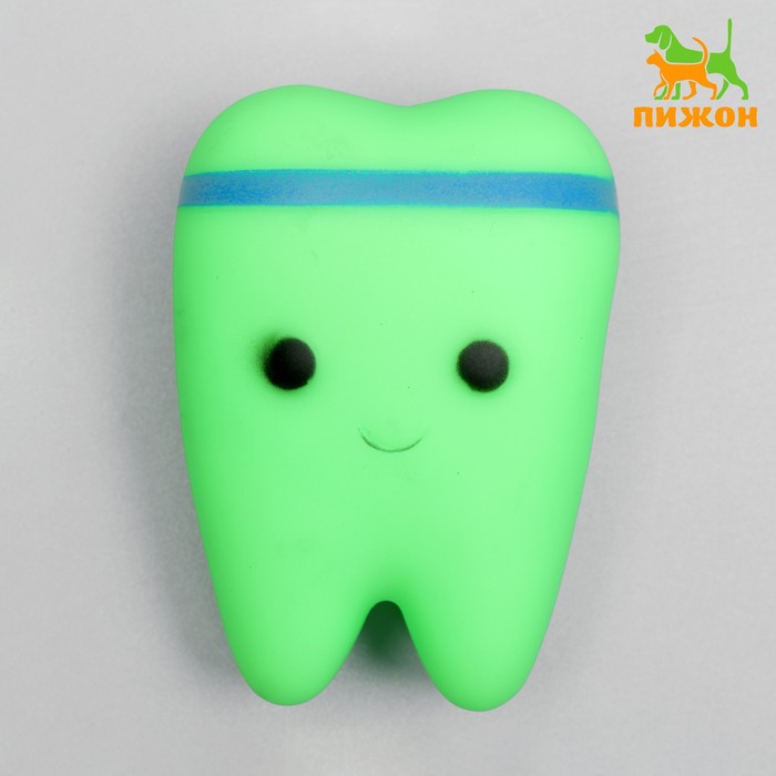 

Игрушка пищащая "Зубик" для собак, 9 x 6,5 см, зелёная
