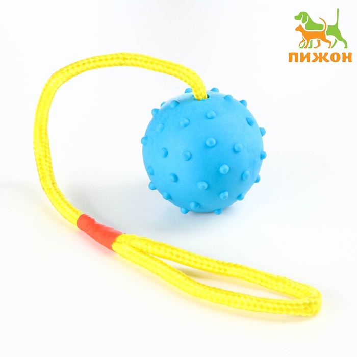 

Игрушка мяч на веревке, 6 см, синяя