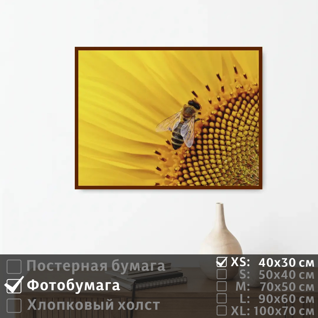 

Постер на фотобумаге ПолиЦентр Пчела в подсолнухе 40х30 см, ПчелаВПодсолнухе
