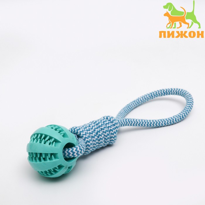 

Игрушка канатная плетёная с мячом, до 30 см, до 120 г, голубая