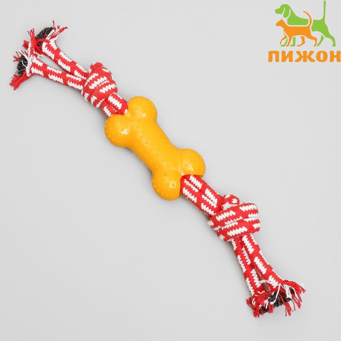 

Игрушка канатная двойная с косточкой, до 30 см, до 85 г, микс цветов