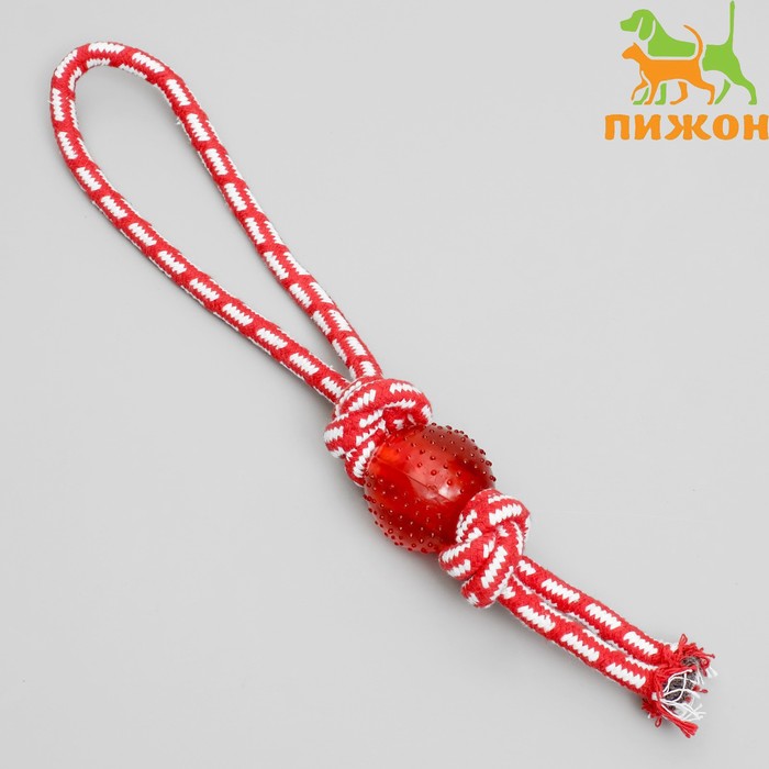 

Игрушка канатная Узел с мячиком, до 80 г, микс цветов