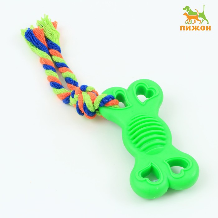 

Игрушка жевательная с канатом "Косточка на привязи", 9,5 см, зелёная