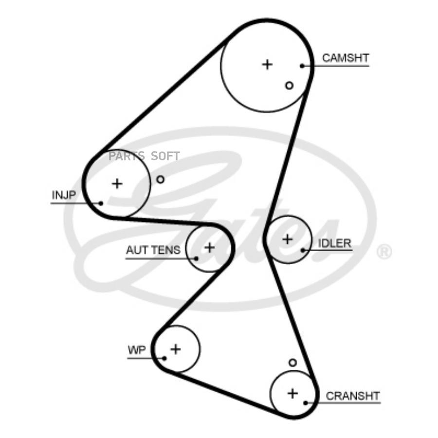 

Ремень грм Gates 5705XS