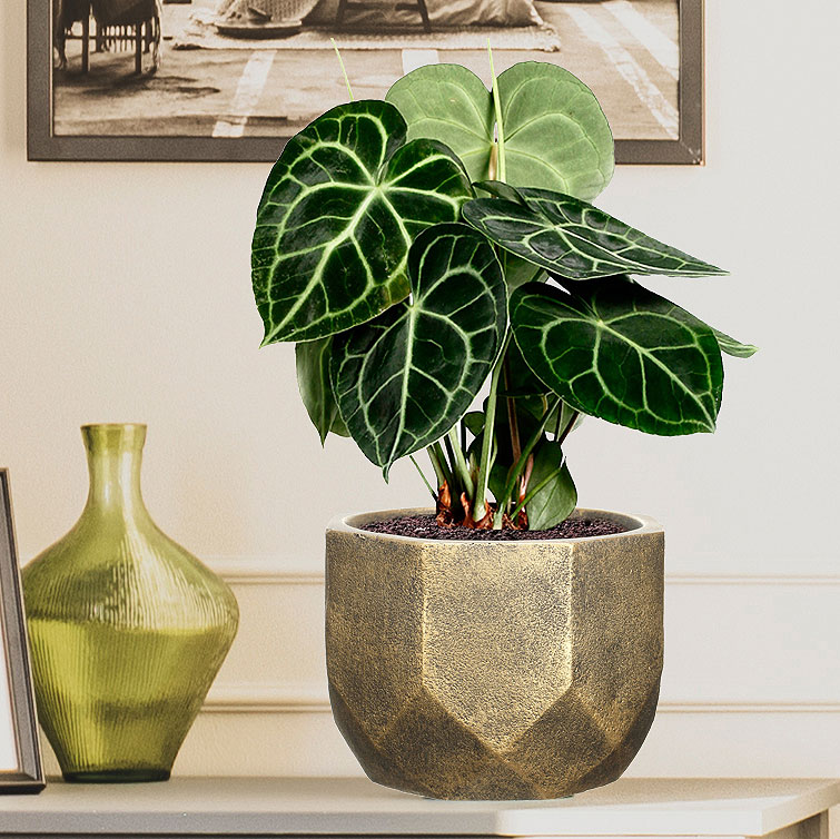 Цветочное кашпо Idealist Lite Геометри круглое настольное DROUND23-GLD 7 л золотой 1 шт.