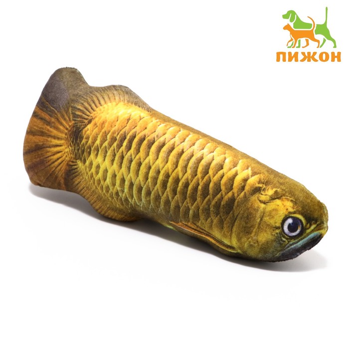 

Игрушка "Рыба моей мечты!" с кошачьей мятой, аравана, 20 см