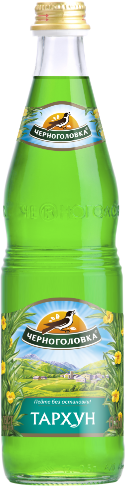 Напиток Черноголовка Тархун газированный, 12 шт х 0,5 л