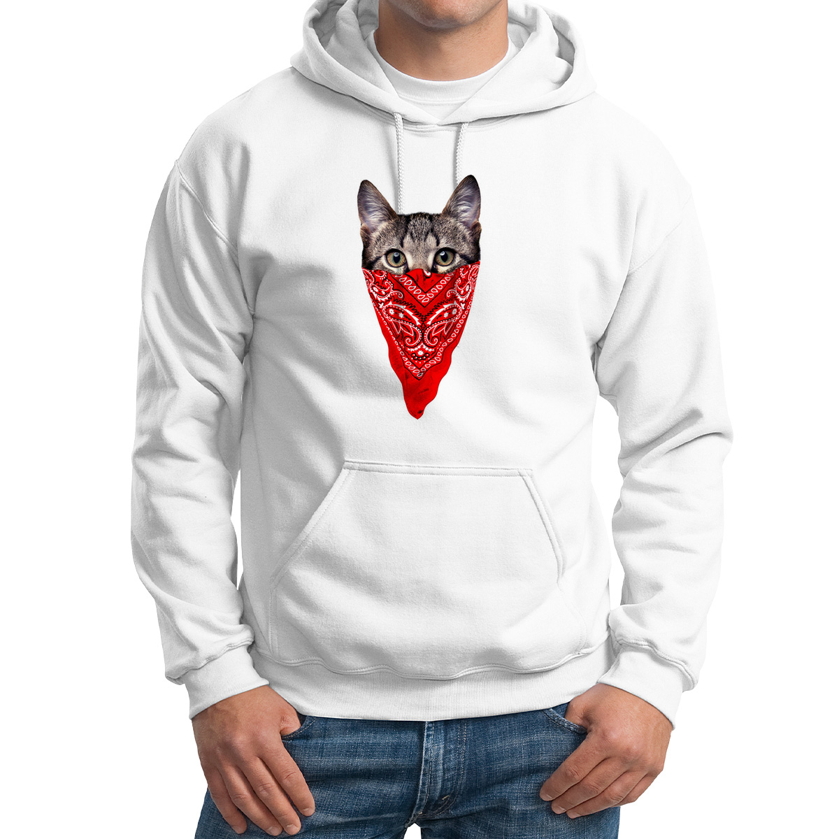 

Худи унисекс CoolPodarok Кот в платке белое 44 RU, Белый, 4M015779