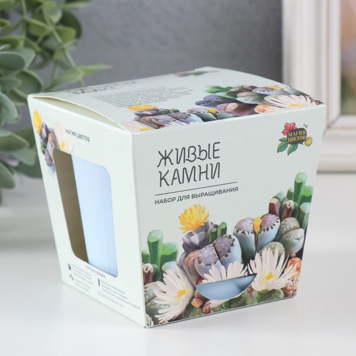

Набор для выращивания растений "Магия Цветов", "Литопсы микс", Голубой