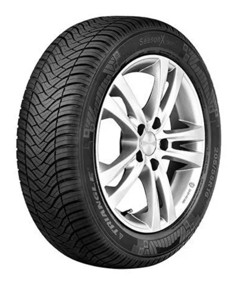 Шины 195/65 R15 Triangle SeasonX TA01 95V