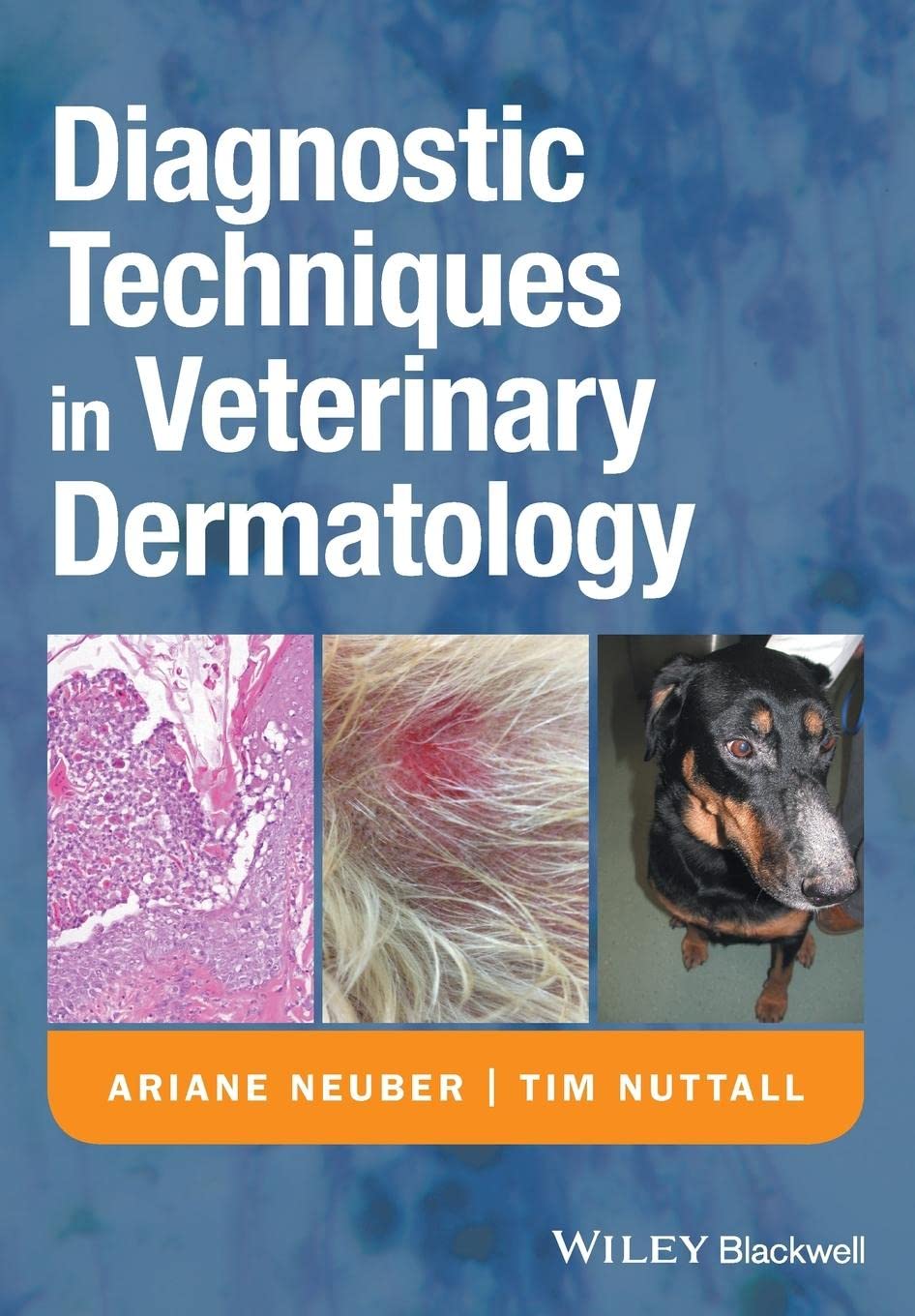 

Diagnostic Techniques in Veterinary Dermatology. Neuber