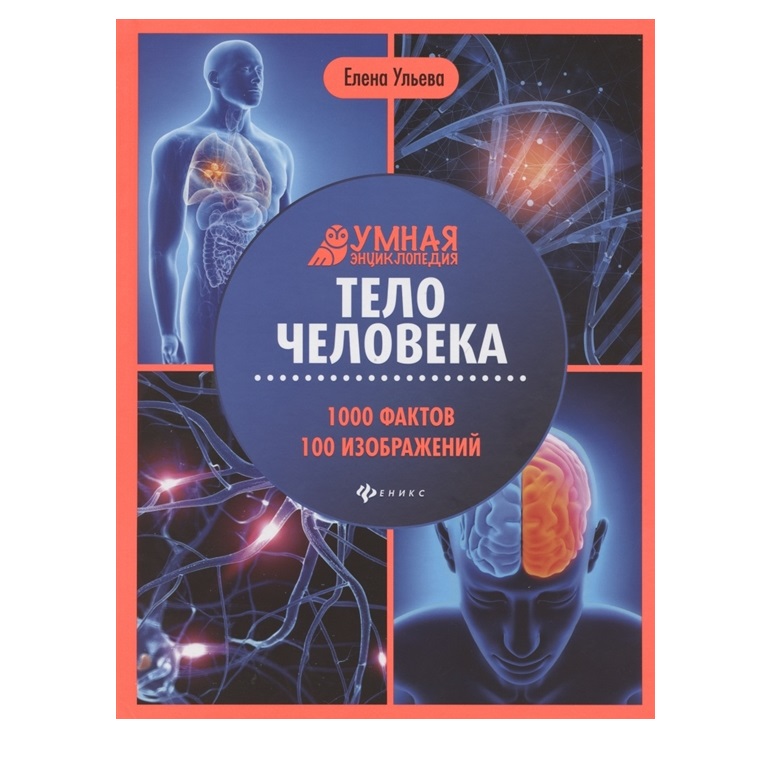 

Книга Энциклопедия Тело человека, Умная энциклопедия