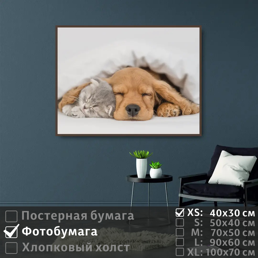 

Постер на фотобумаге ПолиЦентр Спящие котенок и щенок 40х30 см, СпящиеКотенокИЩенок