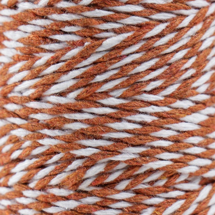 

Пряжа 100% целлюлоза Softino Raffia Color Melange кручёная, шоколад 100м ±2м 87 гр, Коричневый