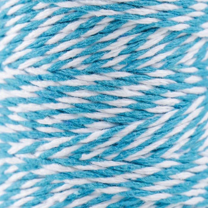 

Пряжа 100% целлюлоза Softino Raffia Color Melange кручёная, голубая 100м ±2м 87 гр, Голубой