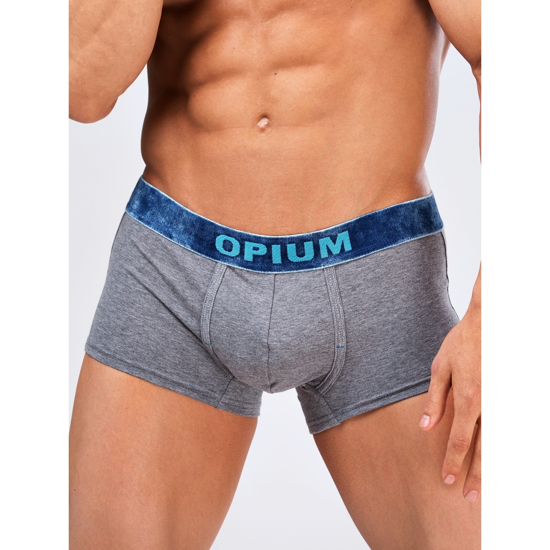 

Трусы мужские Opium R109 серые L, Серый, R109