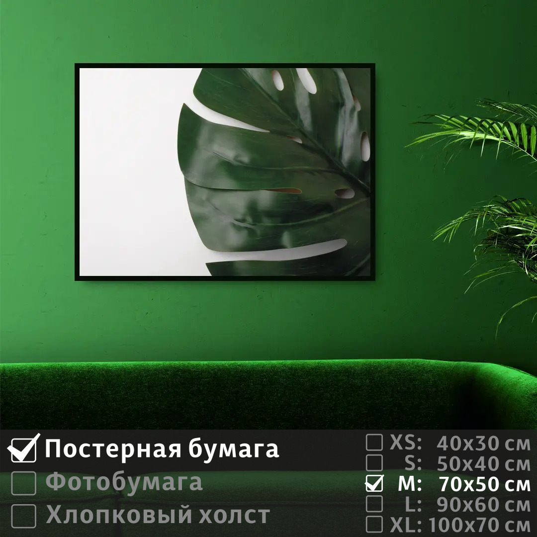 

Постер на стену ПолиЦентр Лист монстеры 70х50 см, ЛистМонстеры