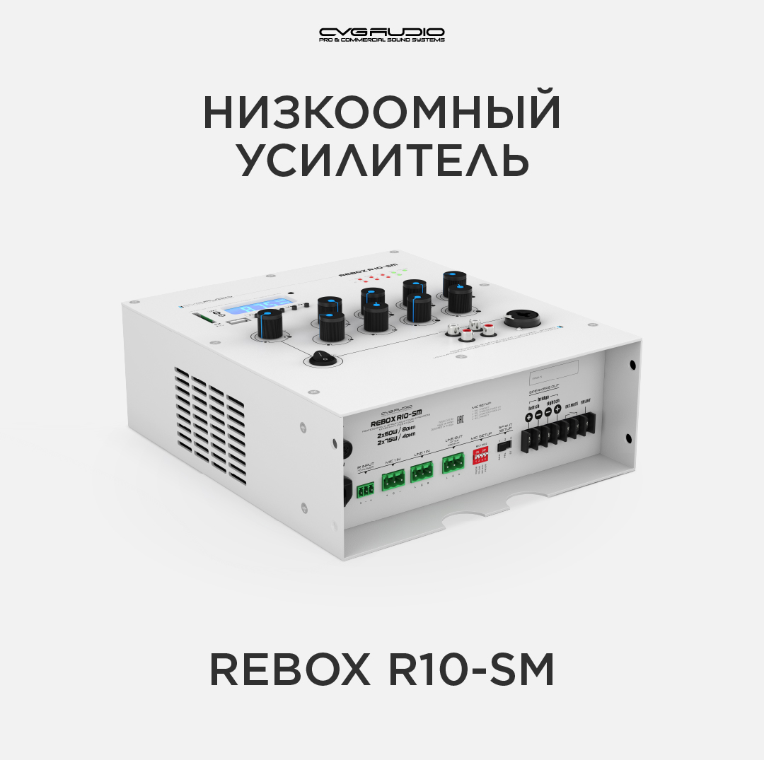 Усилитель мощности CVGaudio ReBox R10-SM