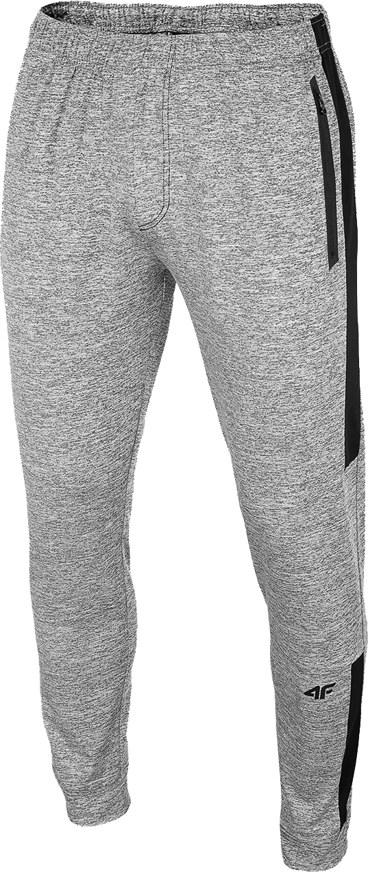 фото Спортивные брюки мужские 4f men's functional trousers серые s