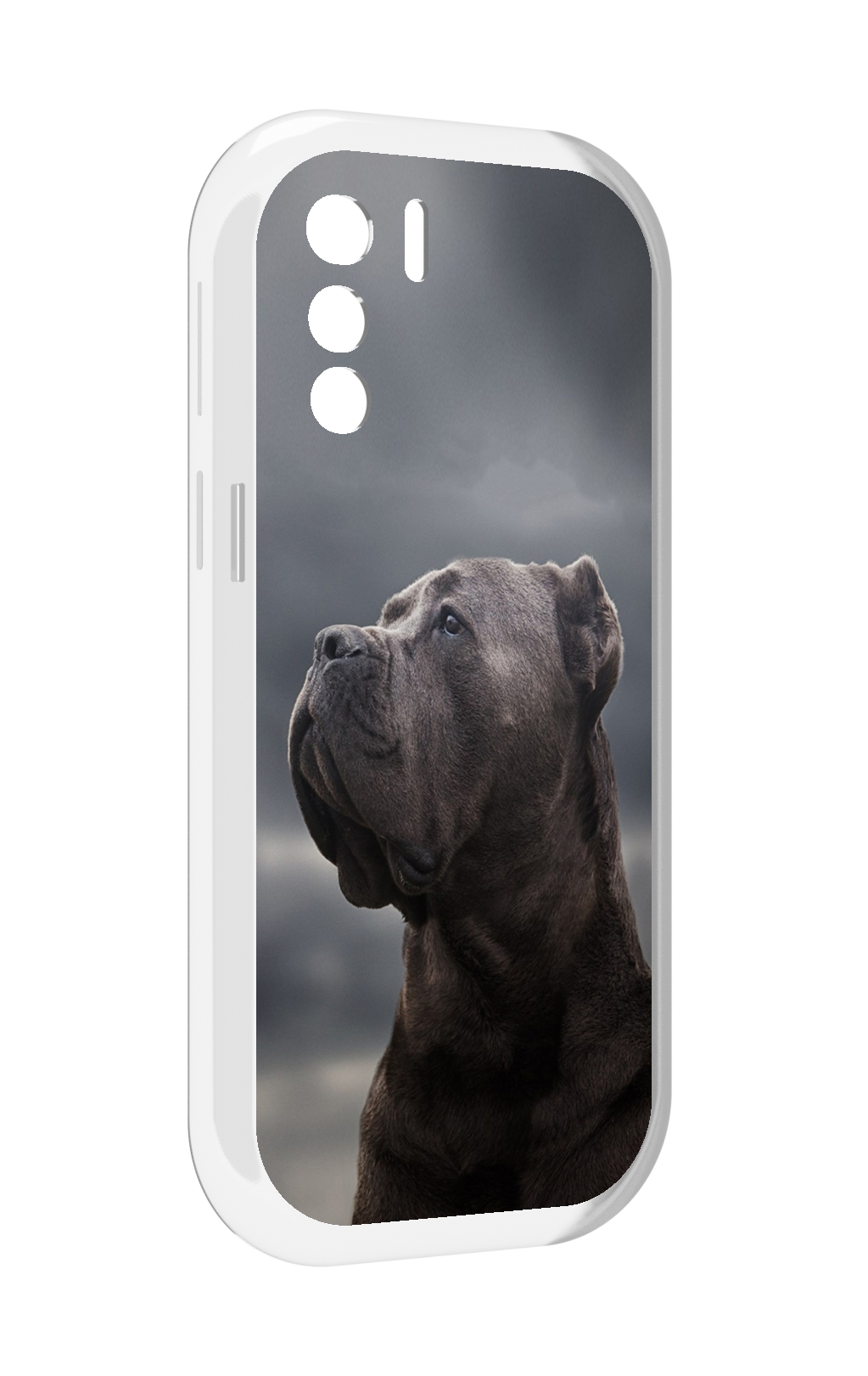 

Чехол MyPads кане корсо для UleFone Note 13P, Прозрачный, Tocco