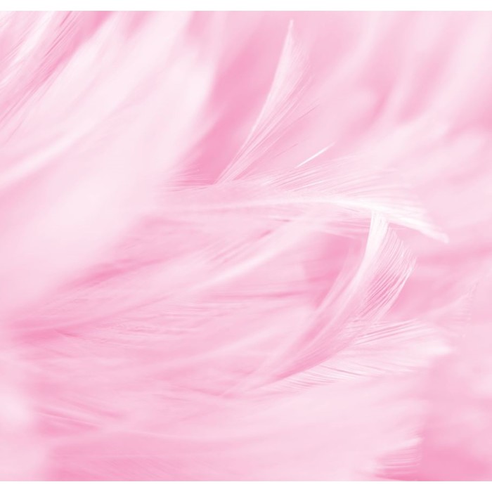 

Фотообои "Перья", 210х200 см, 130 г/м, ART UZOR Design
