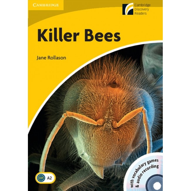 

Killer Bees