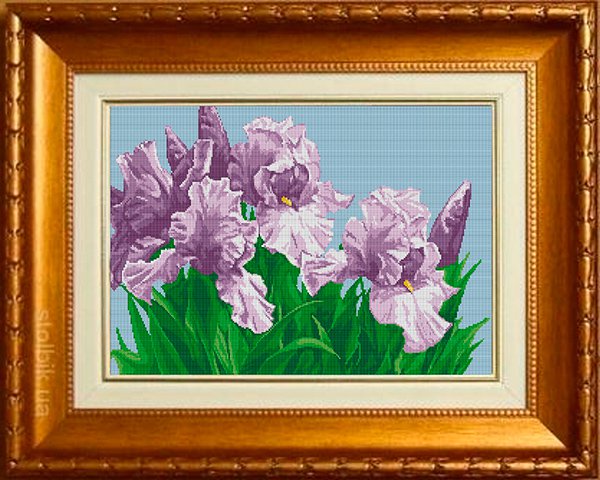 

Славяночка (Россия) Ирисы КС-087, 54x35 см от