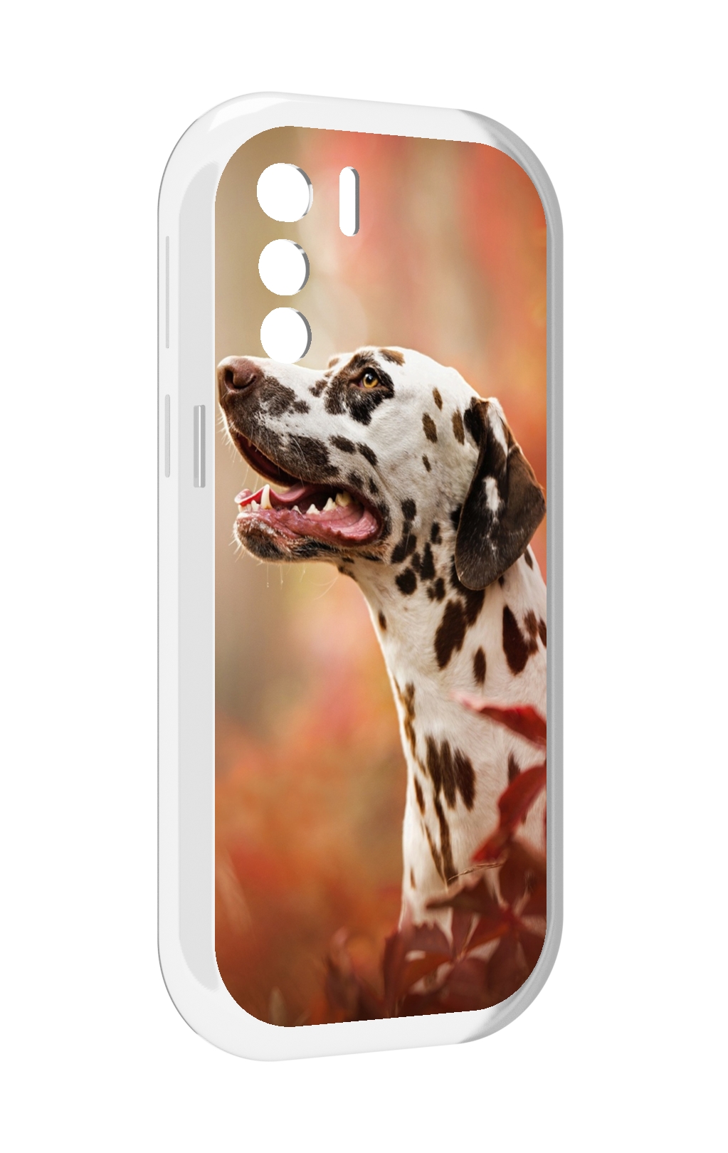 

Чехол MyPads далматин для UleFone Note 13P, Прозрачный, Tocco
