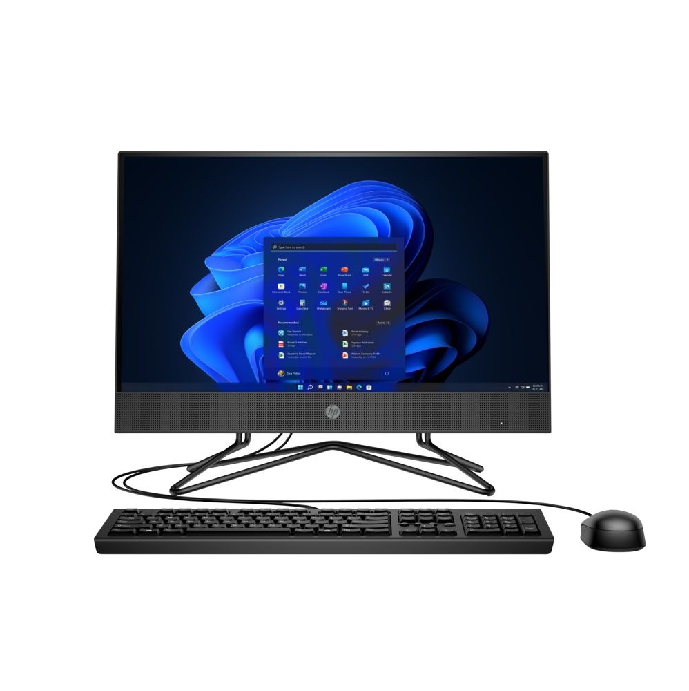 

Моноблок HP 205 G4 All-in-One NT black (295M0EA)
