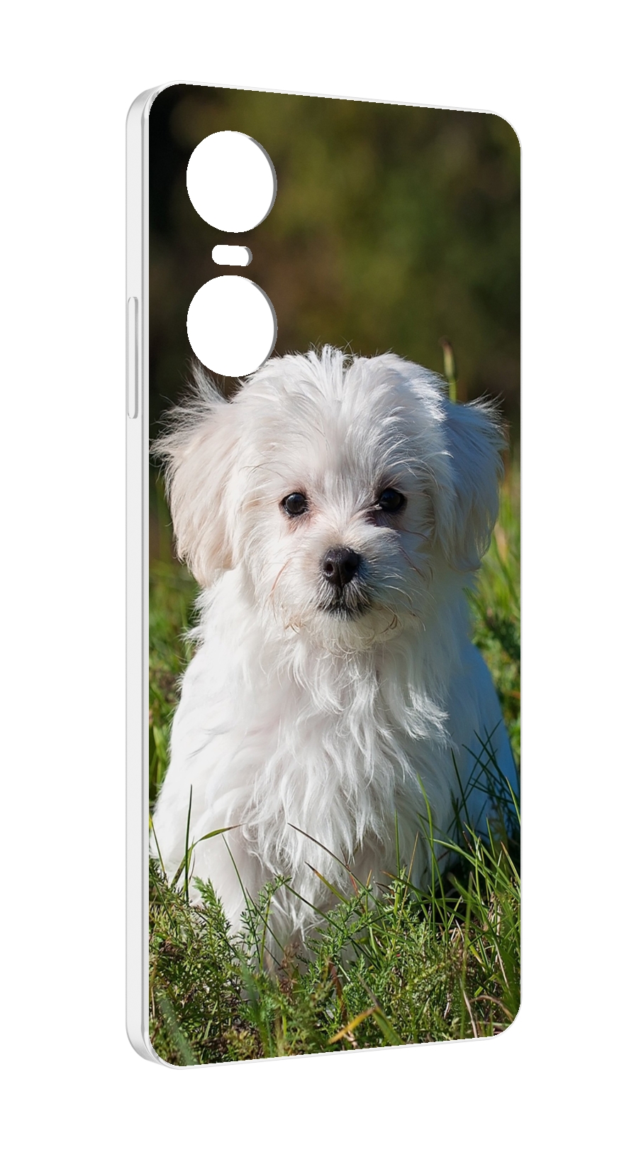

Чехол MyPads мальтииская-болонка для Tecno Pop 6 Pro, Прозрачный, Tocco