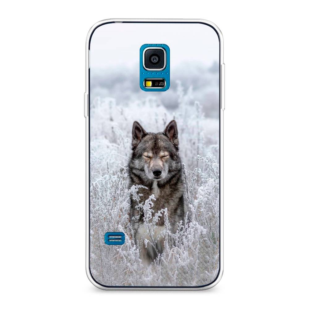 

Чехол Awog "Волк в поле" для Samsung Galaxy S5 mini, 24250-1