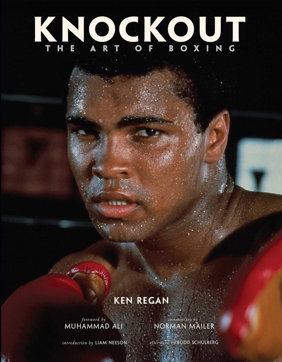 

Knockout. Regan, Ken