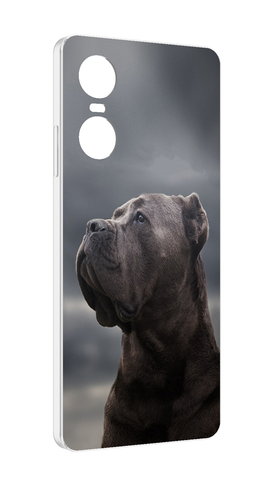 

Чехол MyPads кане корсо для Tecno Pop 6 Pro, Прозрачный, Tocco