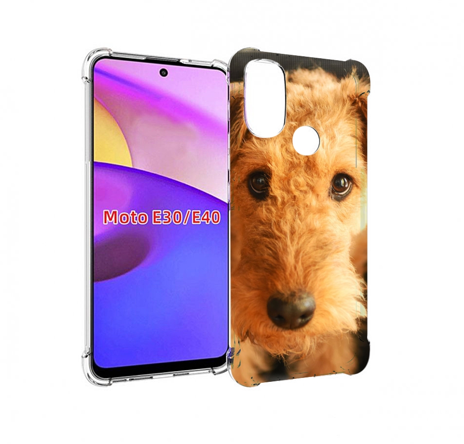 

Чехол бампер MyPads эрдельтерьер для Motorola Moto E30., Прозрачный, Tocco