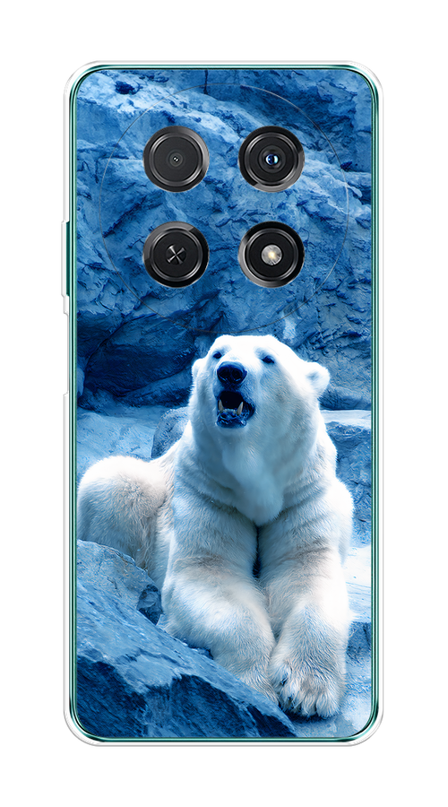 

Чехол на Huawei Nova 12i "Белый медведь", Голубой;белый, 6123950-1