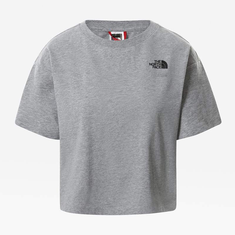 

Футболка женская The North Face TA4SYC11P серая L, TA4SYC11P