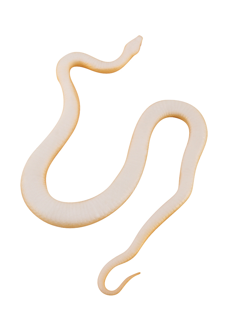 Игрушка резиновая Змея золотистая  K7425